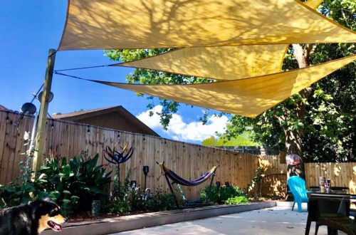 Stylish shade sails shaping modern outdoor comfort across sunny Coffs Harbour